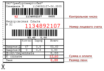 Счет на оплату Оренбургэнергосбыт
