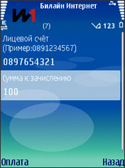 Оплата Билайн Интернет