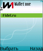 Найденный провайдер Fidel