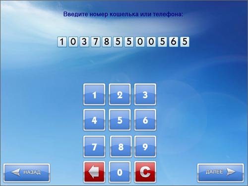 Ввод реквизитов оплаты