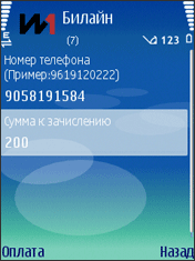 Оплата Билайн