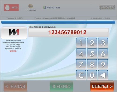 Ввод реквизитов оплаты