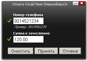 Оплата Скай Линк (Новосибирск)