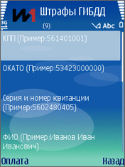 Оплата штрафов ГИБДД с мобильного