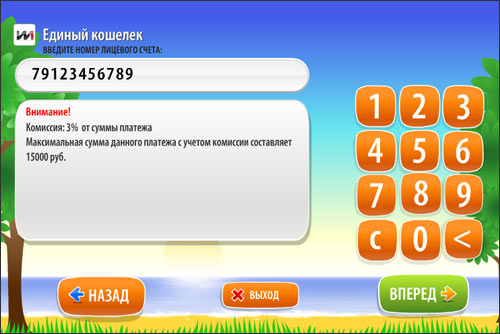 Ввод данных qiwi