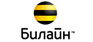 Билайн